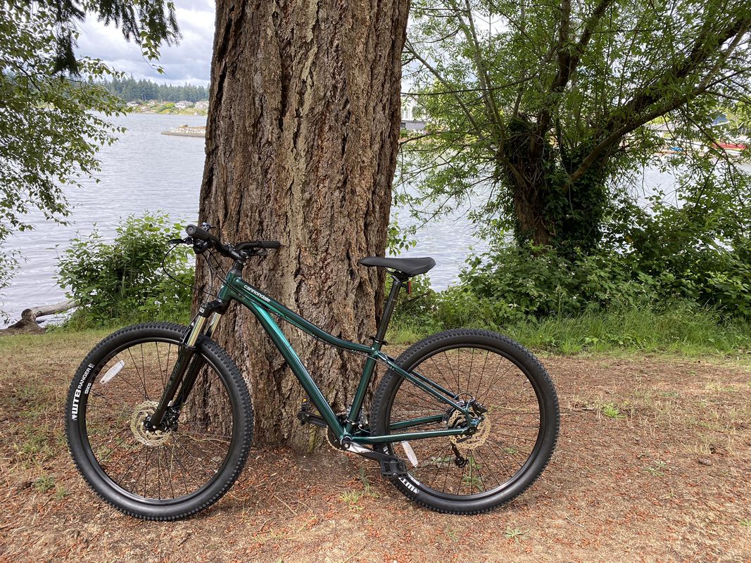 8518 Haviland Ave SW, Lakewood to 8518 Haviland Ave SW, Lakewood