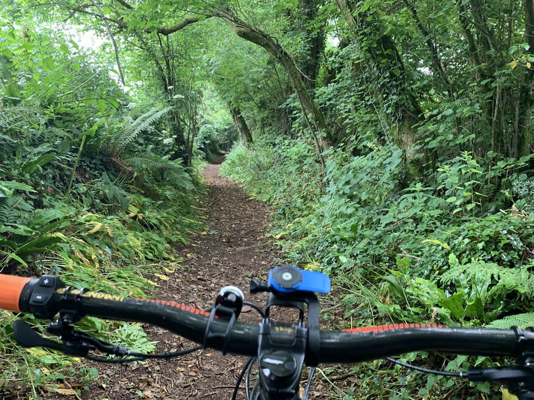 eMTB off and on Road trail