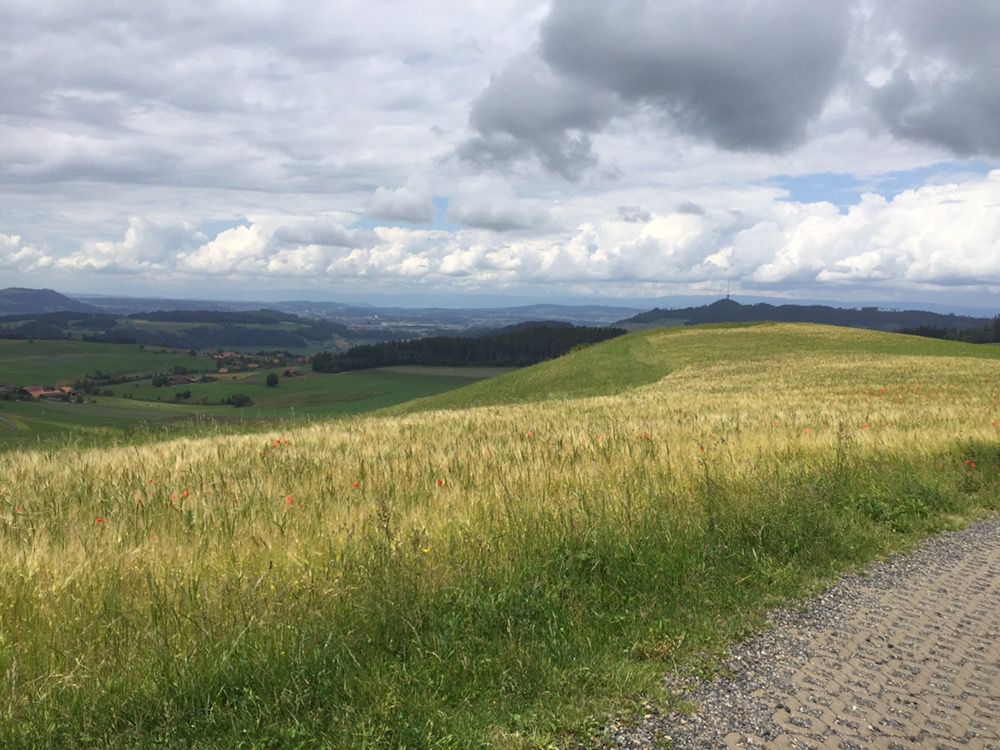 Wrach-Mänziwilegg-Häutligen-Wrach. 40km, 840hm