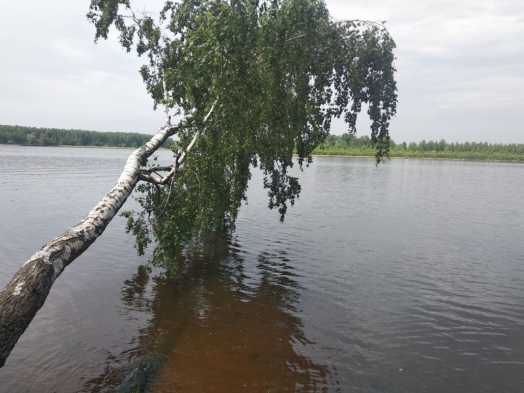 От Unnamed Road до Новосходненское шоссе 176, Москва