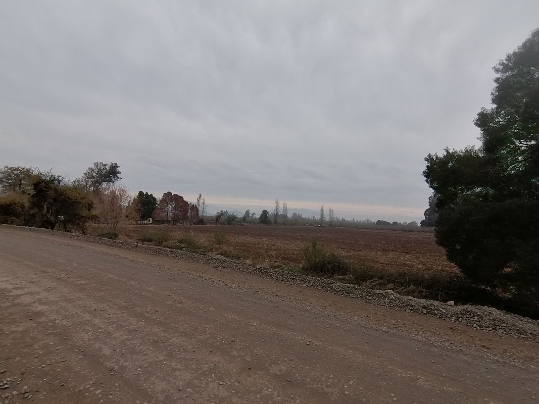 De Francisco Ruiz 731, Rengo a Francisco Ruiz 731, Rengo