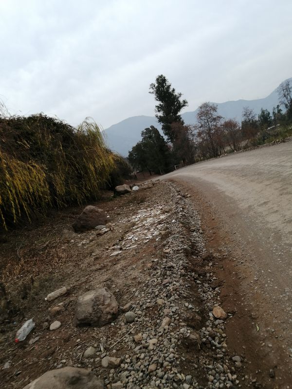 De Francisco Ruiz 731, Rengo a Francisco Ruiz 731, Rengo