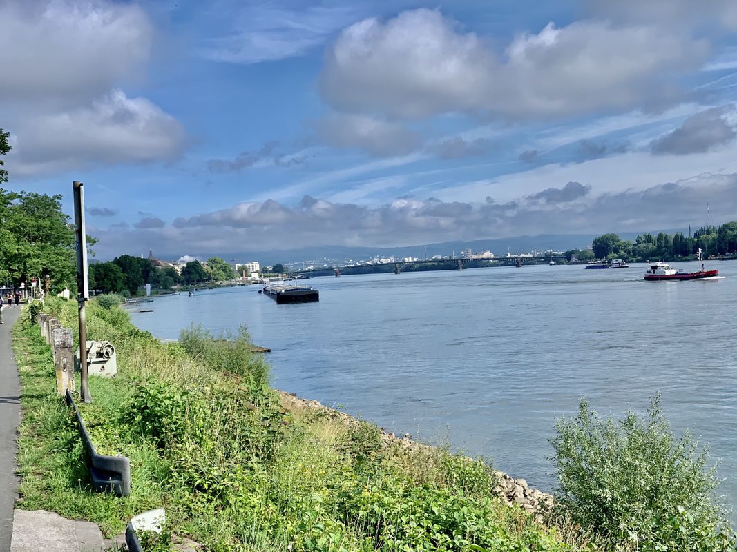 nach Rheinstraße, Mainz