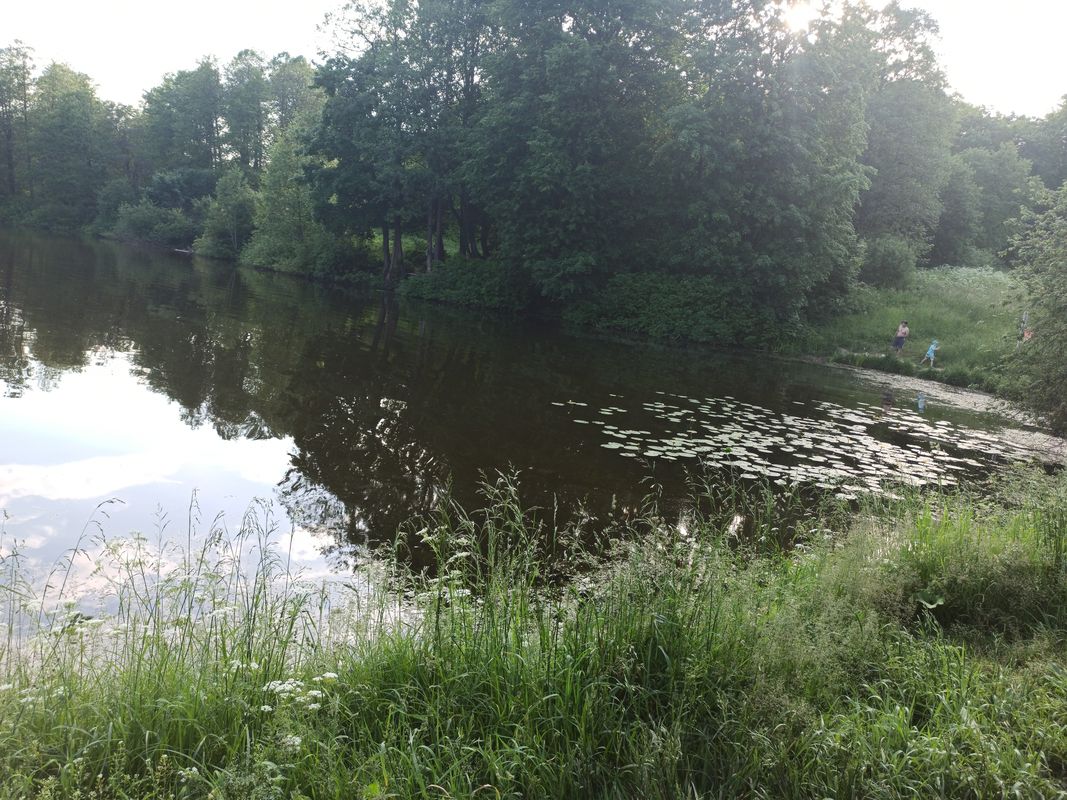 возле дома