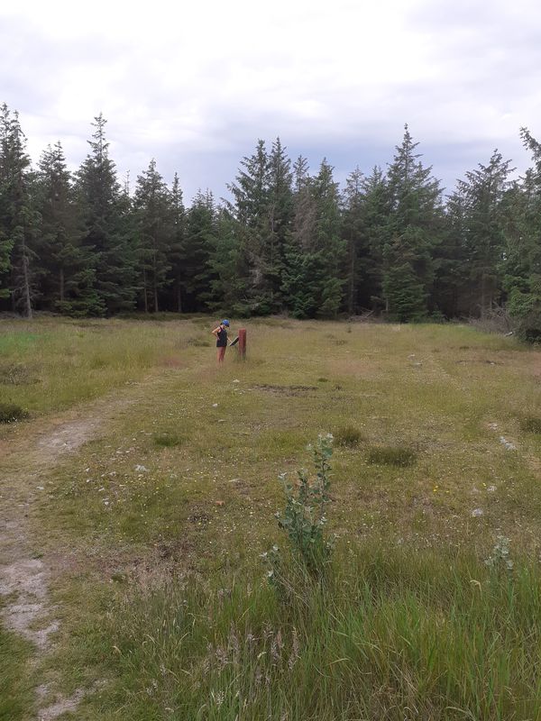 nr vorupør klitmøller