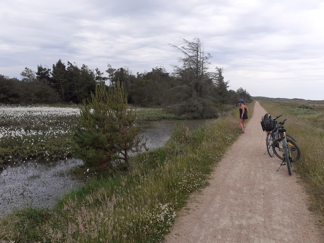 nr vorupør klitmøller