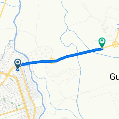 Ruta a Cali - Palmira