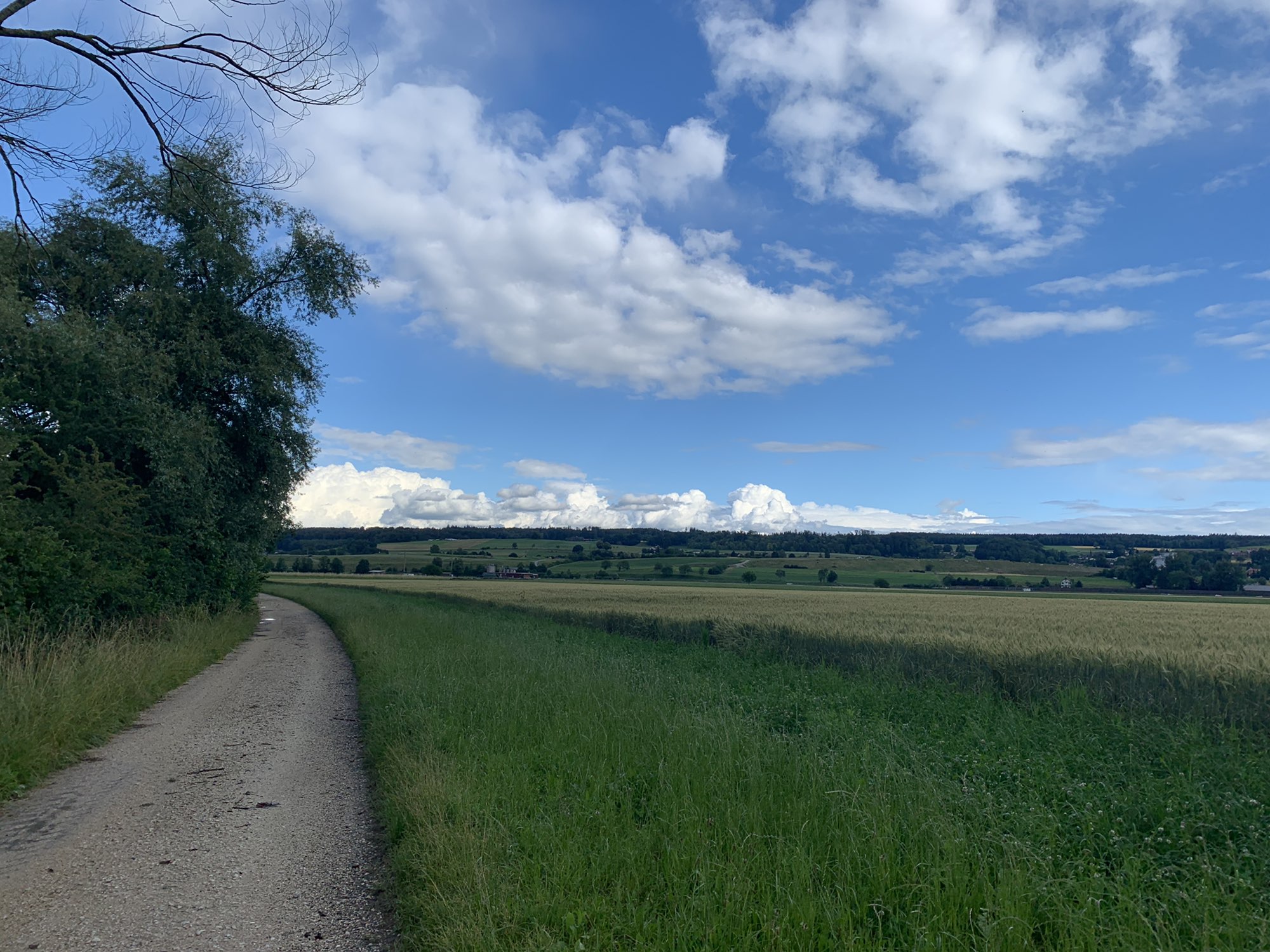 Entspannende Route in Leuzigen