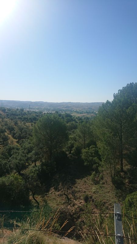 Avenida México 4, La Poveda to Avenida México 2, La Poveda