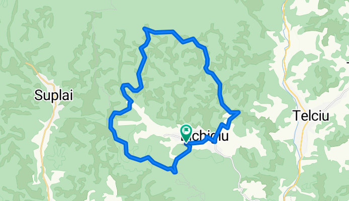 bichigiu