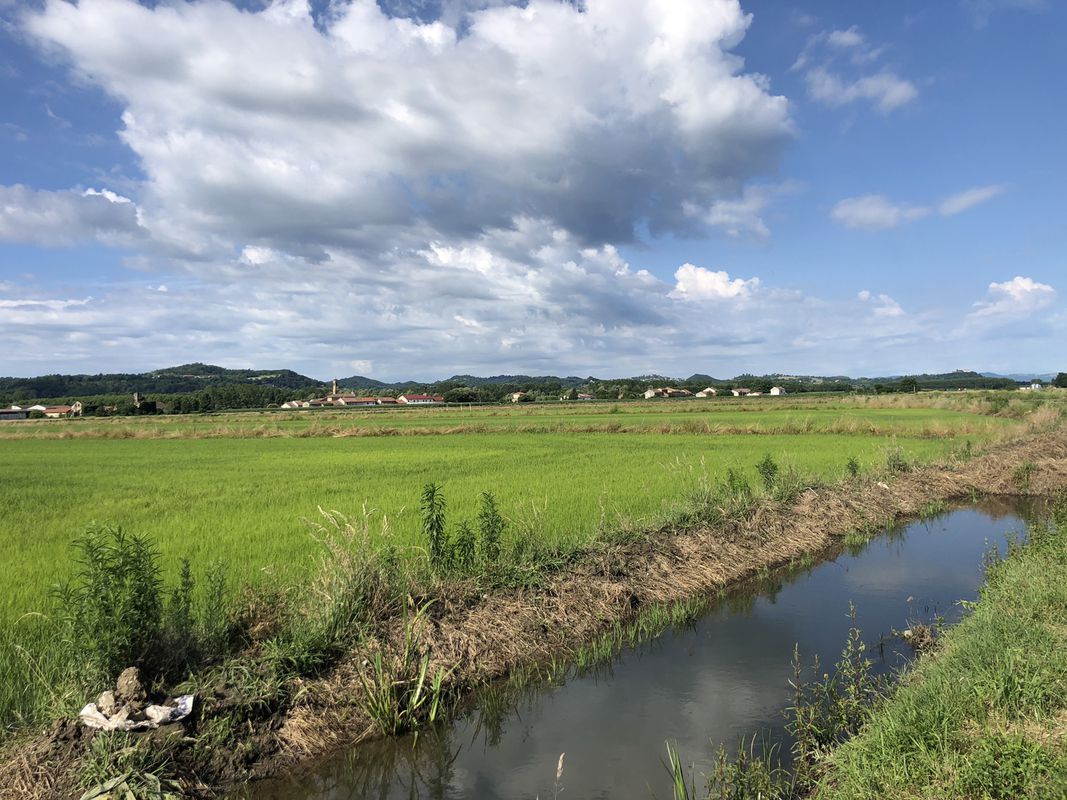 Da Piazza Giuseppe Mazzini 3, Trino a Corso Italia 4, Trino