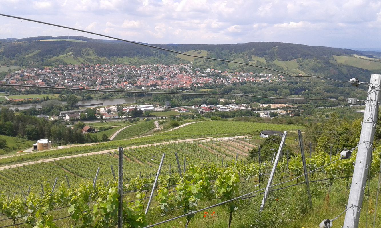 Z-Gü-Terroir2-Erlabrunn-Z