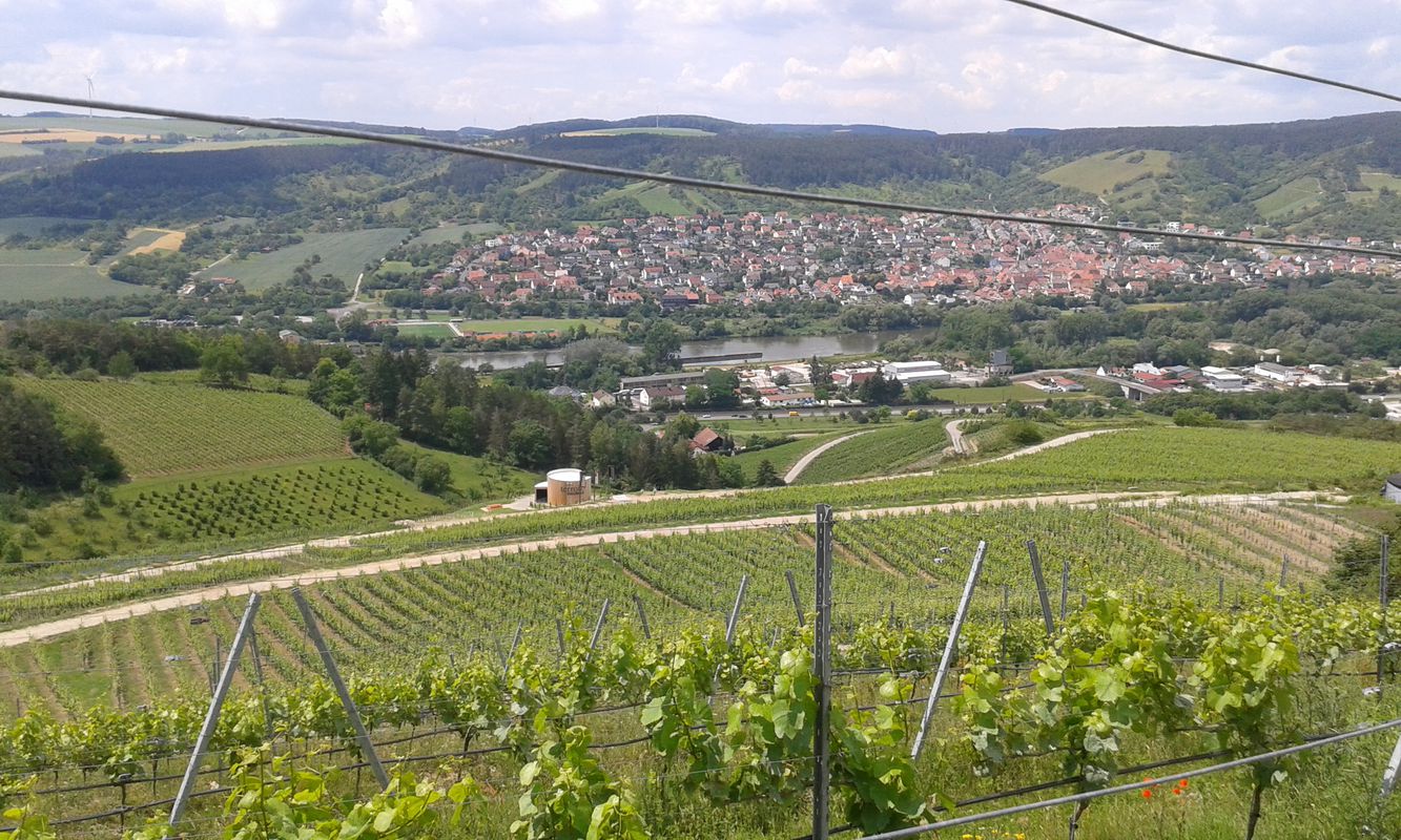 Z-Gü-Terroir2-Erlabrunn-Z