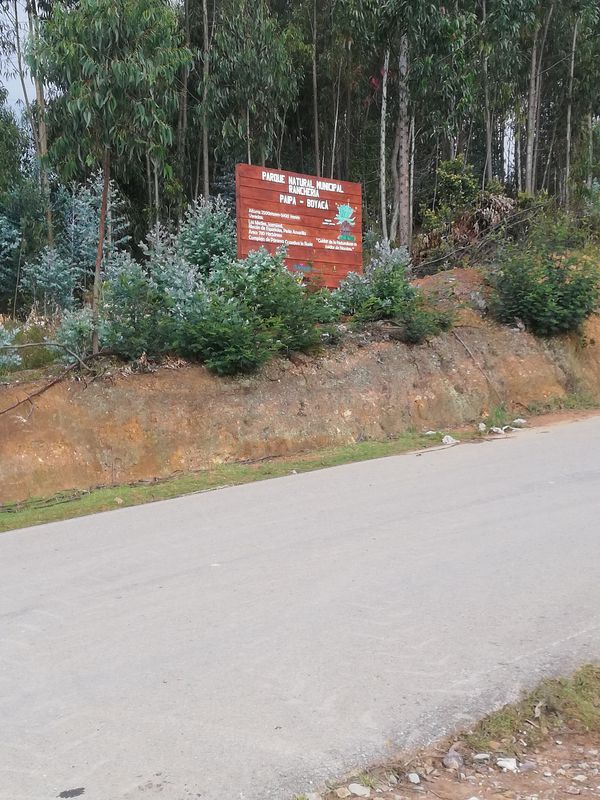 Ruta a Carrera 17 26-31, Paipa
