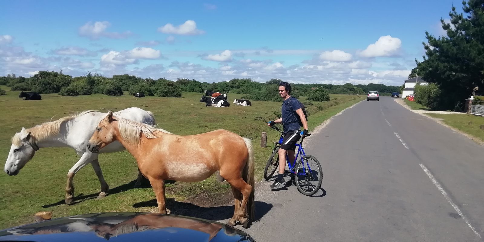 Beaulieu Road to Unnamed Road