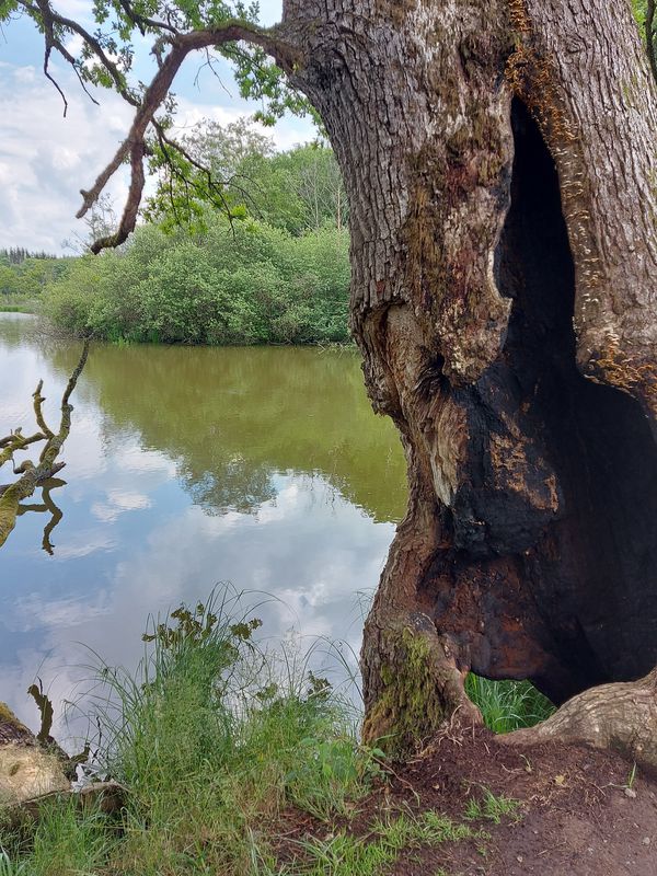 Unnamed Road, Grebenhain nach Am Camping 2, Freiensteinau