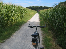 Hebe Bild 1 entlang der Bikemap-Route "Dortmund-Körnebach-Kamen-Werne" hervor