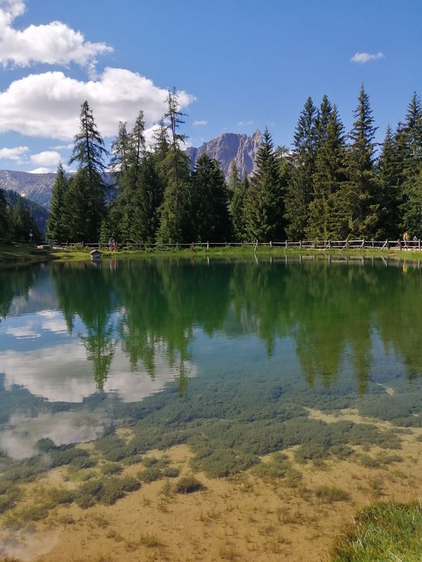 Telfen 58, Telfen-Lanzin do Telfen-Lanzin 59a, Castelrotto