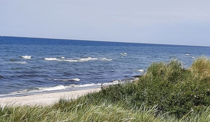 Foto 2 der Bikemap-Route "Rundtour: Zingst-Born-Weststrand-Prerow-Zingst"
