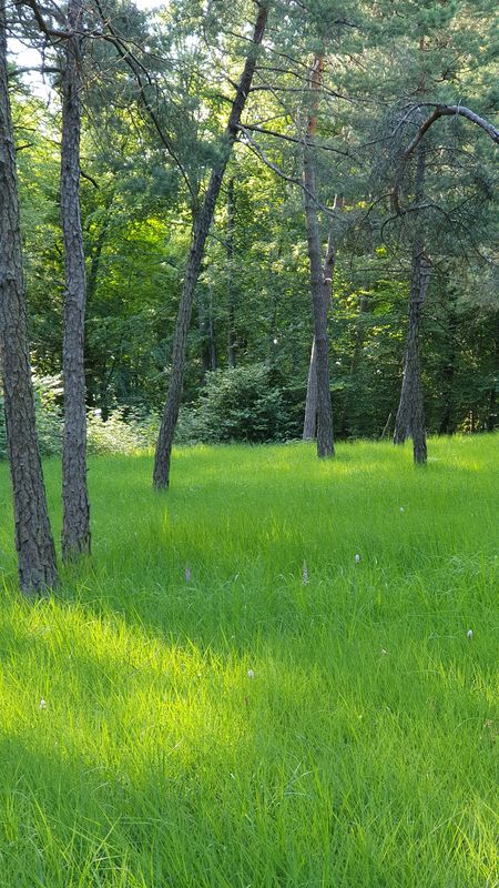 Winnenden - Königsbronnhof - Winnenden