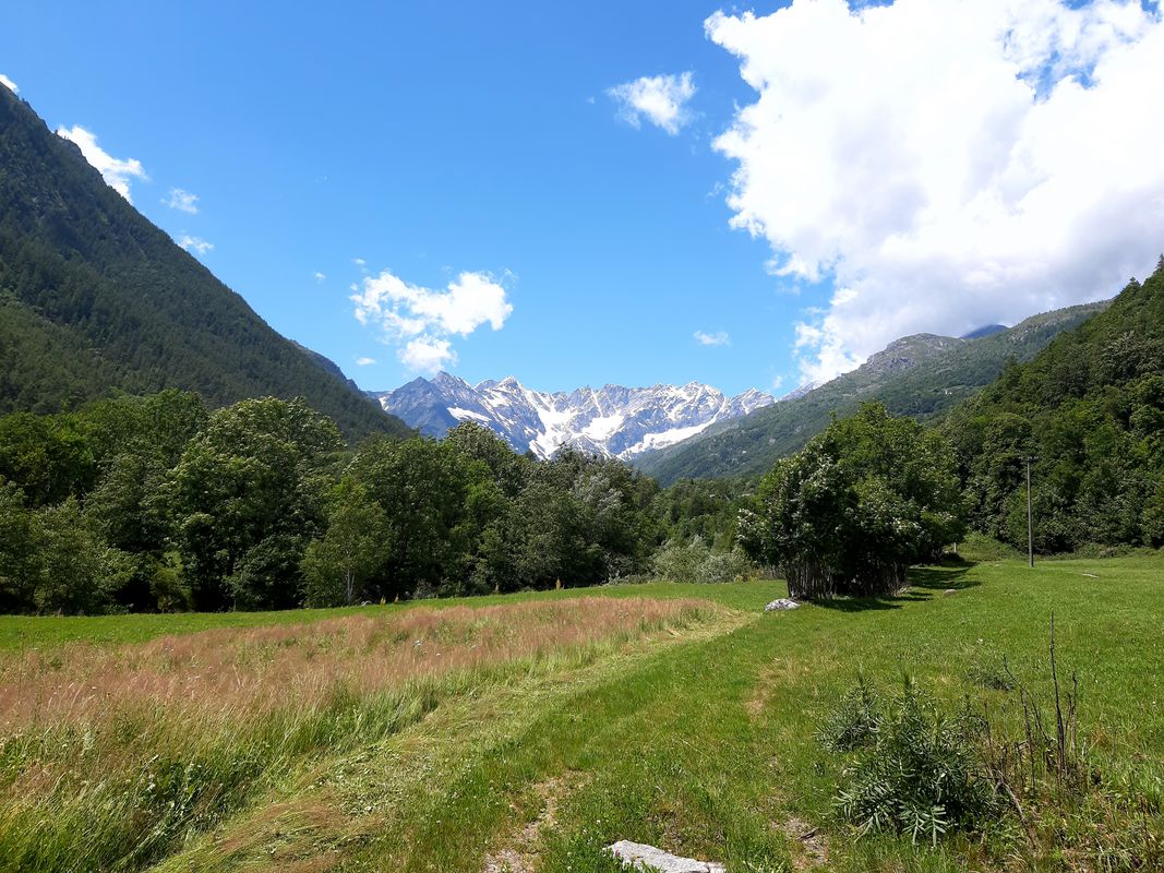 Giro semplice in Bonzo
