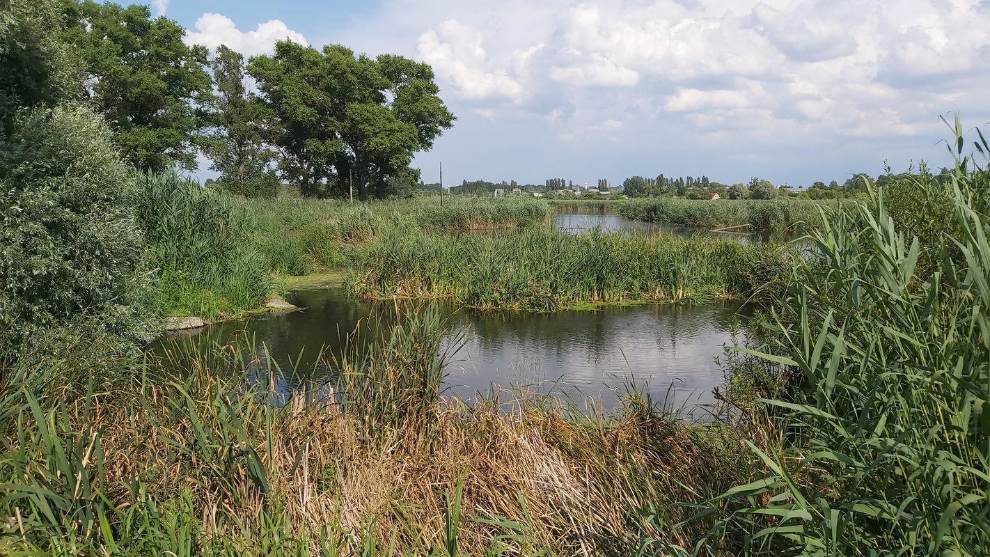 От Unnamed Road до улица Попова 12, Белгород