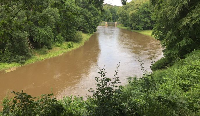 Photo 2 de l’itinéraire Bikemap « Rezerwat NAD MŁYŃSKĄ STRUGĄ »