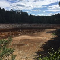 Photo 7 de l’itinéraire Bikemap « Rezerwat NAD MŁYŃSKĄ STRUGĄ »