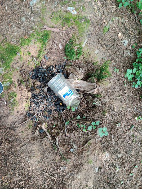 разведка боем