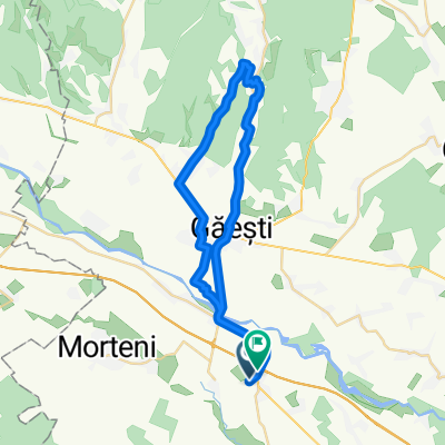 DC89 7, Petreşti to DN61 339, Petreşti