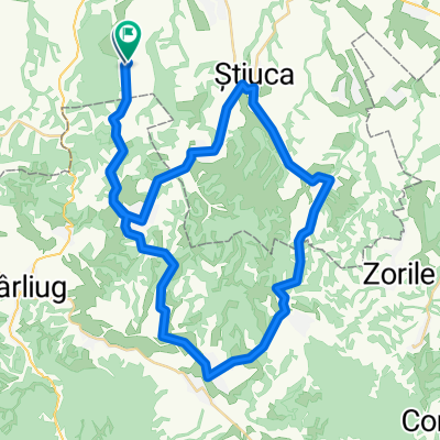 zorlentu zorlencior