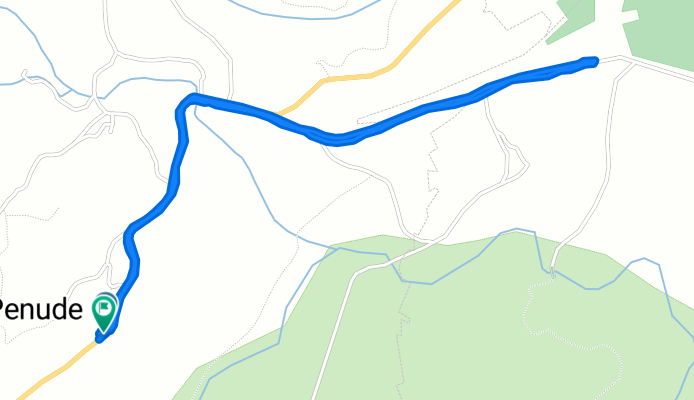 Caminhada lenta Penude