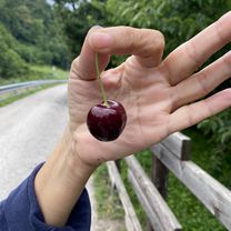 Easy ride in Calceranica al Lago