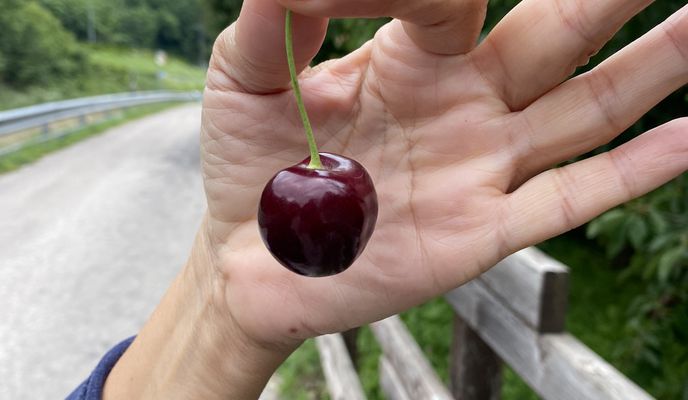 Photo 1 de l’itinéraire Bikemap « Easy ride in Calceranica al Lago »