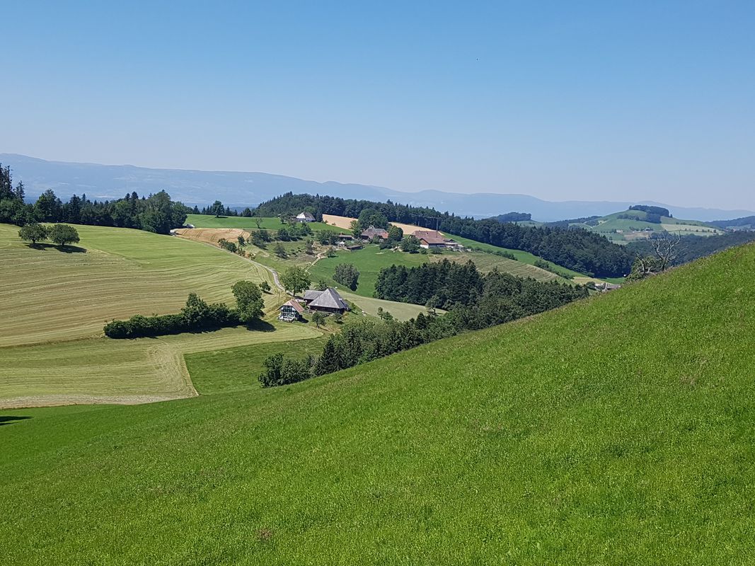 Rüschlikon - Burgdorf