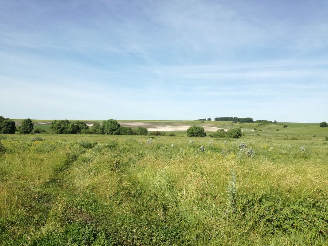 От Unnamed Road, Верхосеймье до Unnamed Road, Верхосеймье