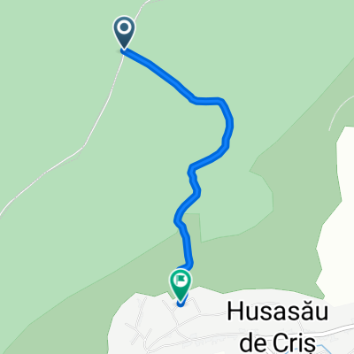 Doja - Down flow trail