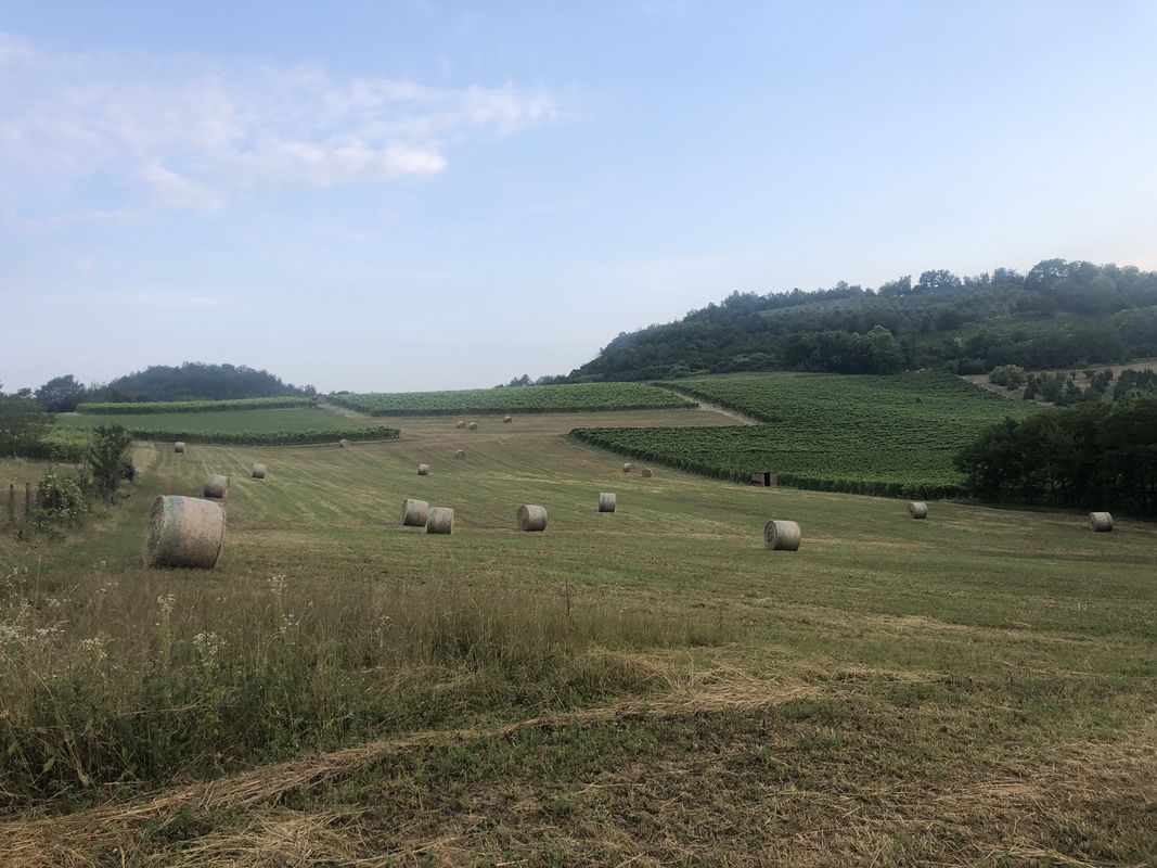 Da Via Gioberti 18, Trino a Piazzale Santuario 15, Serralunga di Crea