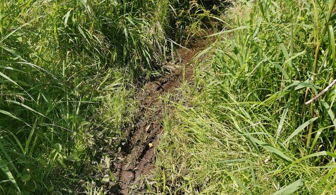 Foto 2 der Bikemap-Route "маршрут с Калининградская улица 29, Королёв" Foto 2 der Bikemap-Route "маршрут с Калининградская улица 29, Королёв"