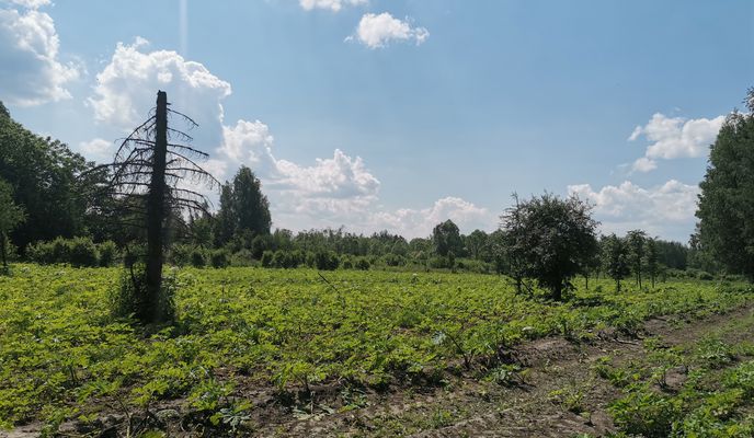 Foto 1 der Bikemap-Route "маршрут с Калининградская улица 29, Королёв" Foto 1 der Bikemap-Route "маршрут с Калининградская улица 29, Королёв"