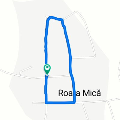roata mică