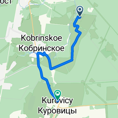 Маршрут в Огородная улица, Сиверский