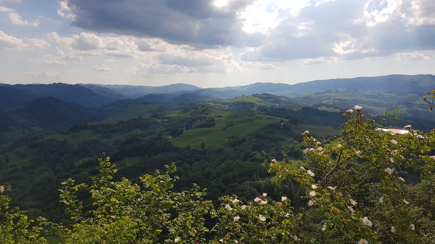 DC130 554, Sălciua de Jos to DC130 554, Sălciua de Jos