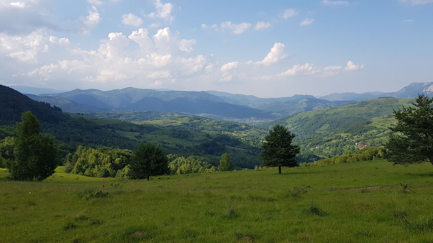 DC130 554, Sălciua de Jos to DC130 554, Sălciua de Jos