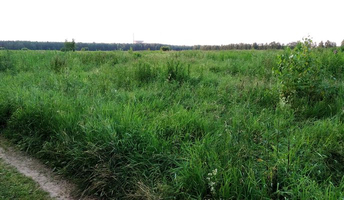 Photo 2 of the Bikemap route "Обзорный (лёгкая прогулка)"