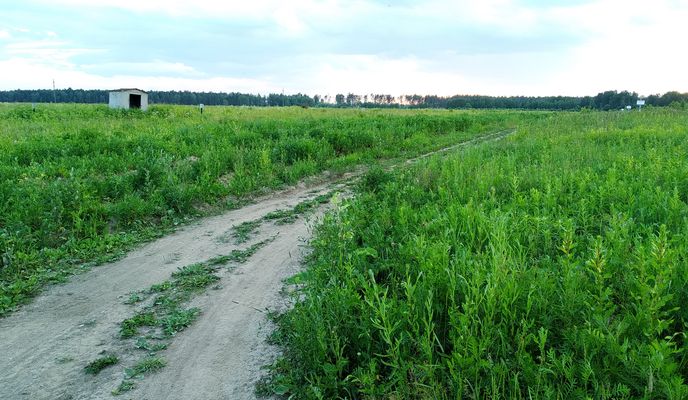 Photo 1 of the Bikemap route "Обзорный (лёгкая прогулка)"