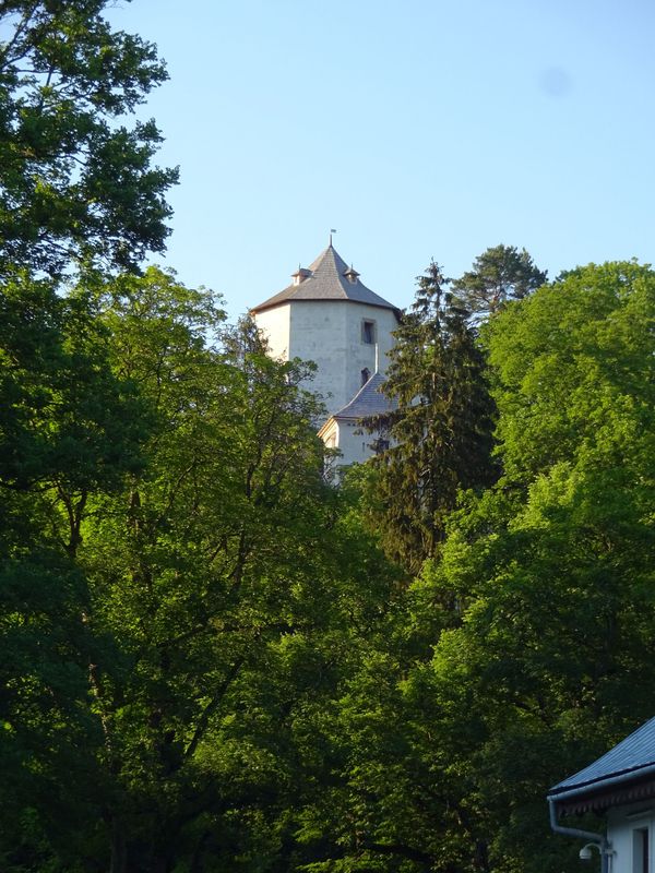 Foto 3: Sylwester Lany