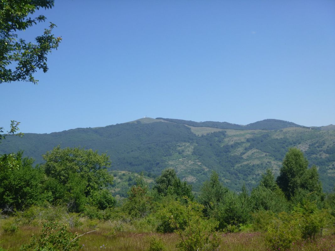 Над с.Горна Брезница