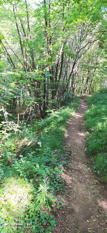 Da Via Giacomo Matteotti 12, Calcinate a Via I Maggio 19, Calcinate