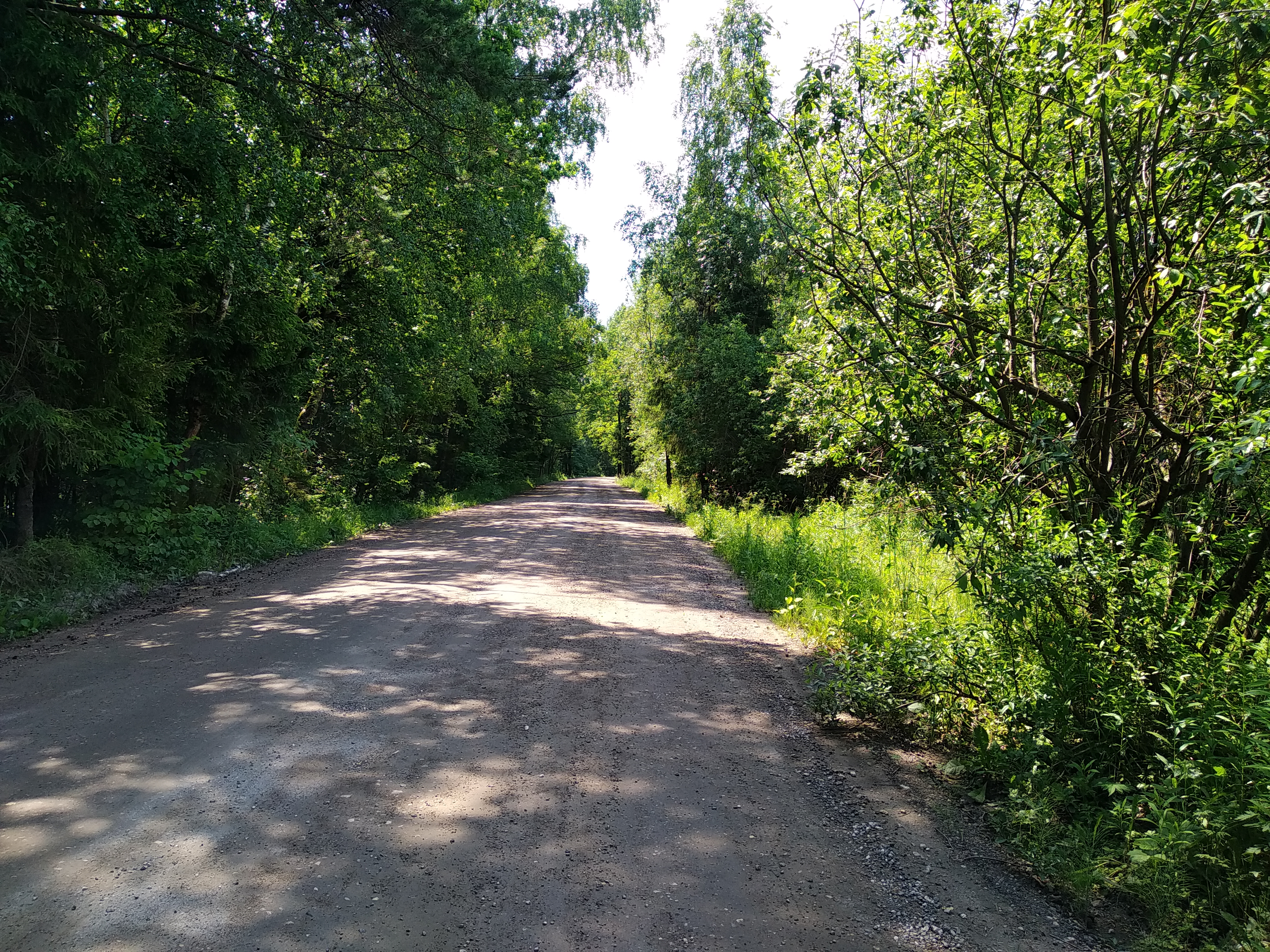 часть 1 (завис)
